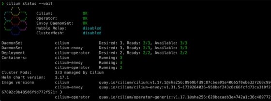 Cilium status wait command