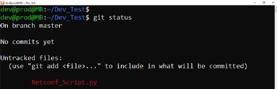 Git status screenshot