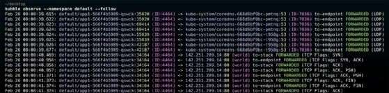 Hubble observe namespace default local terminal view