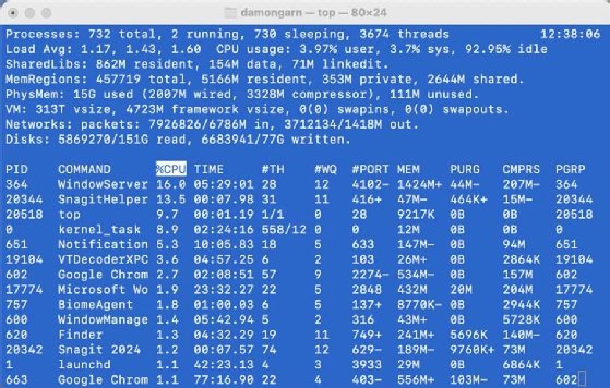 Screenshot of top command results on Mac