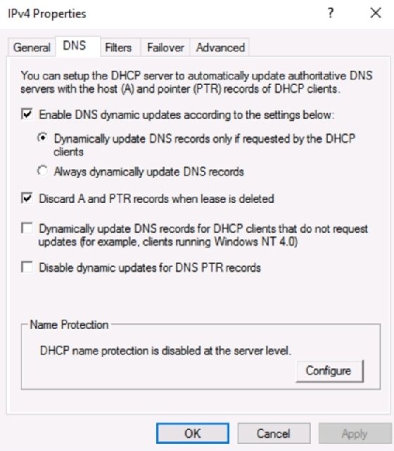 Screenshot of DNS configuration for DHCP