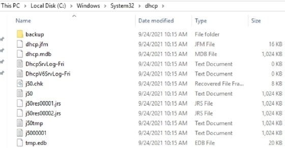 Screenshot of DHCP text log