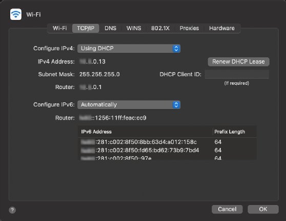 Screenshot of GUI network configuration tool on macOS