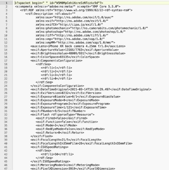 Sidecar file with image metadata.