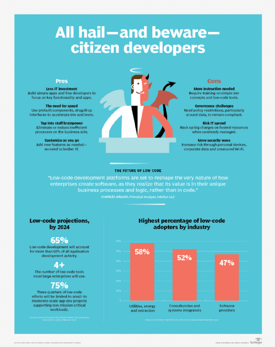 citizen developer pro and cons
