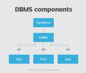 DBMS components