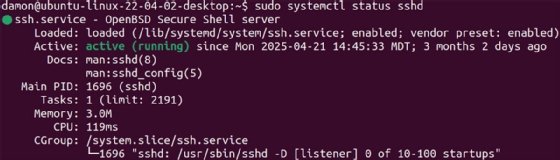 Screenshot of confirming the SSH daemon's status