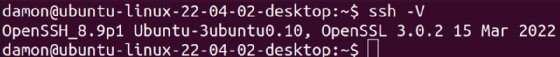 Screenshot of checking SSH version information on Linux