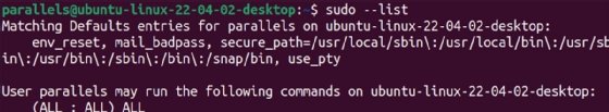 Screenshot of checking sudo privileges
