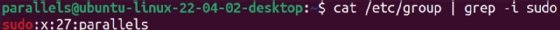 Screenshot of granted privileged access using sudo