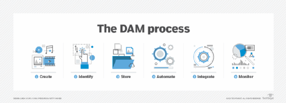 Diagram of the digital asset management process.