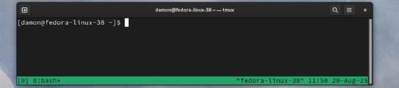 Screenshot of a new tmux session in the terminal.