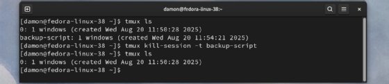 Screenshot of the user killing the backup-script session, then listing remaining sessions.