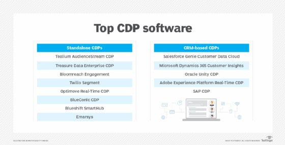 A chart that lists the top CDP software products.