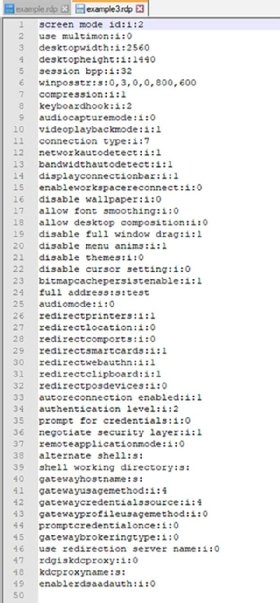 A screenshot of the RDP files within a text editor and their various settings. 