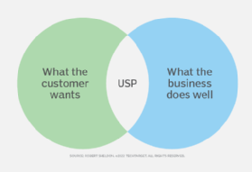 Unique selling point (Figure 1)