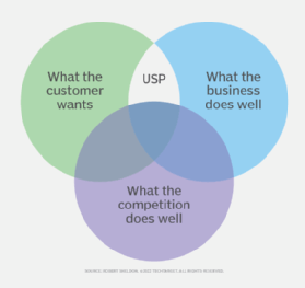 Unique selling point (Figure 2)