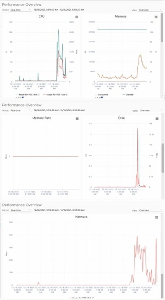 The graphs display resource consumption under the Performance Overview tab within vSphere.