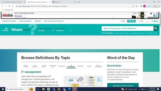 Screenshot of archived website.