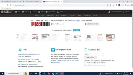 Screenshot adding the website address in Wayback Machine search bar.