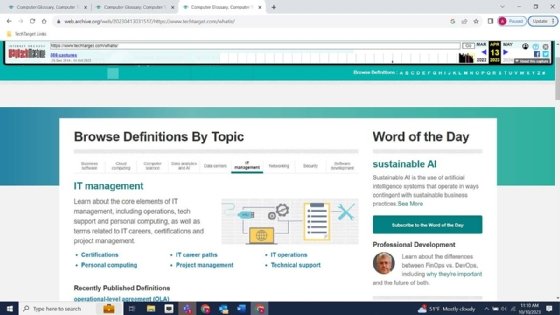 Screenshot of TechTarget WhatIs site.