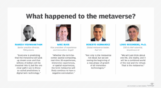 Chart shows opinions of metaverse experts