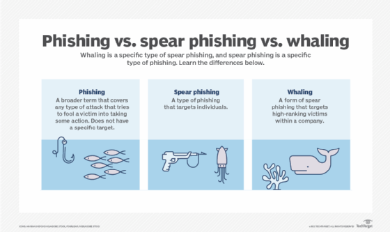 A chart showing phishing vs. spear phishing vs. whaling.