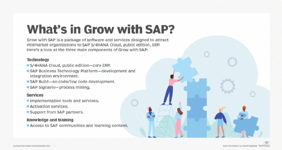 The components and services included in Grow with SAP