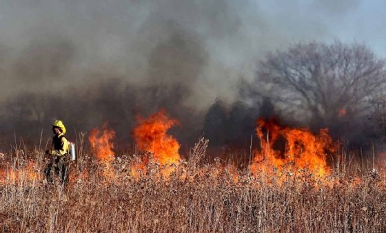 A firefighter battles a wildfire.