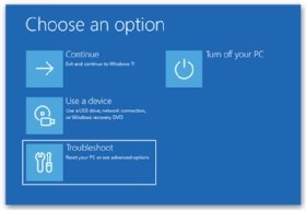 Screenshot of the Choose an option screen, which displays the Troubleshoot option