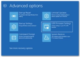 Screenshot of the Advanced options screen, which displays the UEFI Firmware Settings option