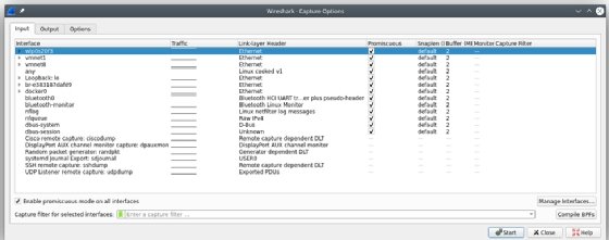 Screenshot of Input tab from Capture Interfaces window in Wireshark