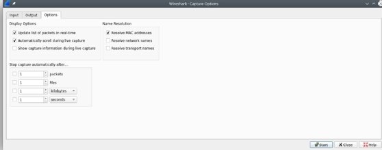 Screenshot of the Options tab of Capture Options in Wireshark