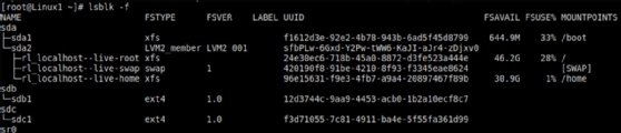 Screenshot of lsblk -f command