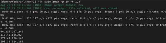 Screenshot of running a ZMap scan of port 80.