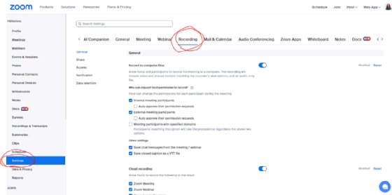 A screenshot of online Zoom meeting recording settings.