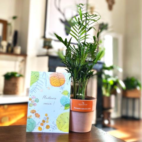 plante carte de voeux