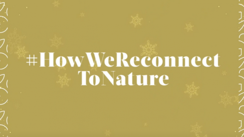 miniature meilleurs voeux